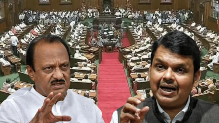 ‘कशाला राजकीय बोलायला लावता?’, देवेंद्र फडणवीसांचा विधानसभेत चढला पारा Mumbai Tak