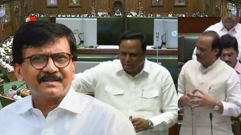 Sanjay Raut Controversy: भाजप-शिवसेना आमदार खवळले! राऊतांविरुद्ध हक्कभंग Mumbai Tak