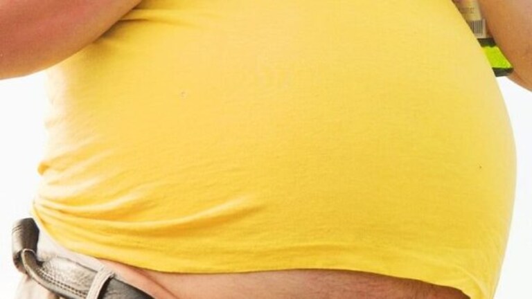 Belly Fat Loss : कमरेजवळ वाढलेल्या चरबीला त्रासलात? अशी करा कमी Mumbai Tak
