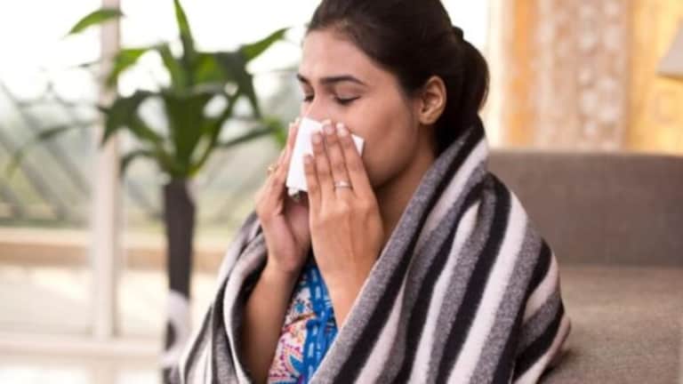 H3N2 Virus: एन3एन2 पासून होईल बचाव, फक्त जेवणात या चार गोष्टींचा करा समावेश H3N2 Virus superfoods