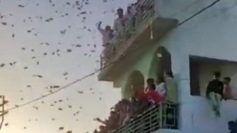 Gujrat : माजी सरपंचाच्या पुतण्याच्या लग्नात हवेत उडवले लाखो रुपये… Mumbai Tak