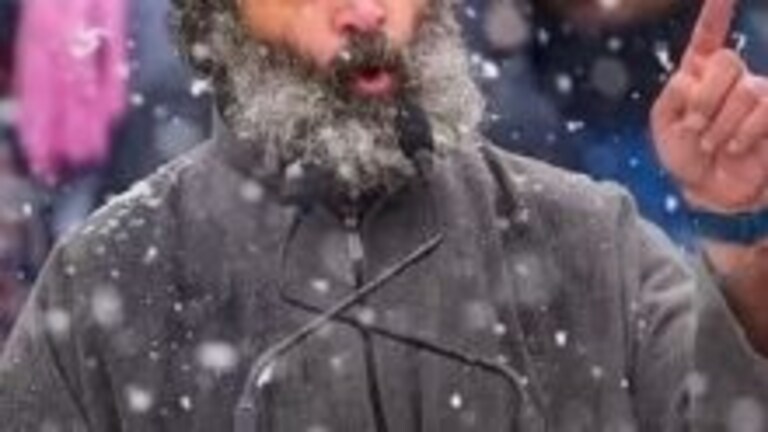 ‘भारत जोडो’नंतर Rahul Gandhi एन्जॉय करतायेत सुट्टी! Mumbai Tak