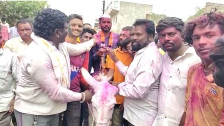 ‘या’ गावात धुळवड दिवशी जावयाची गाढवावरुन मिरवणूक का काढतात? Mumbai Tak