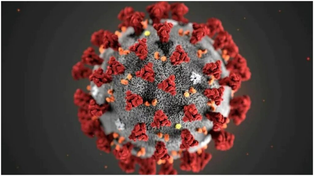 covid 19 in india omicron sub varient xbb 116