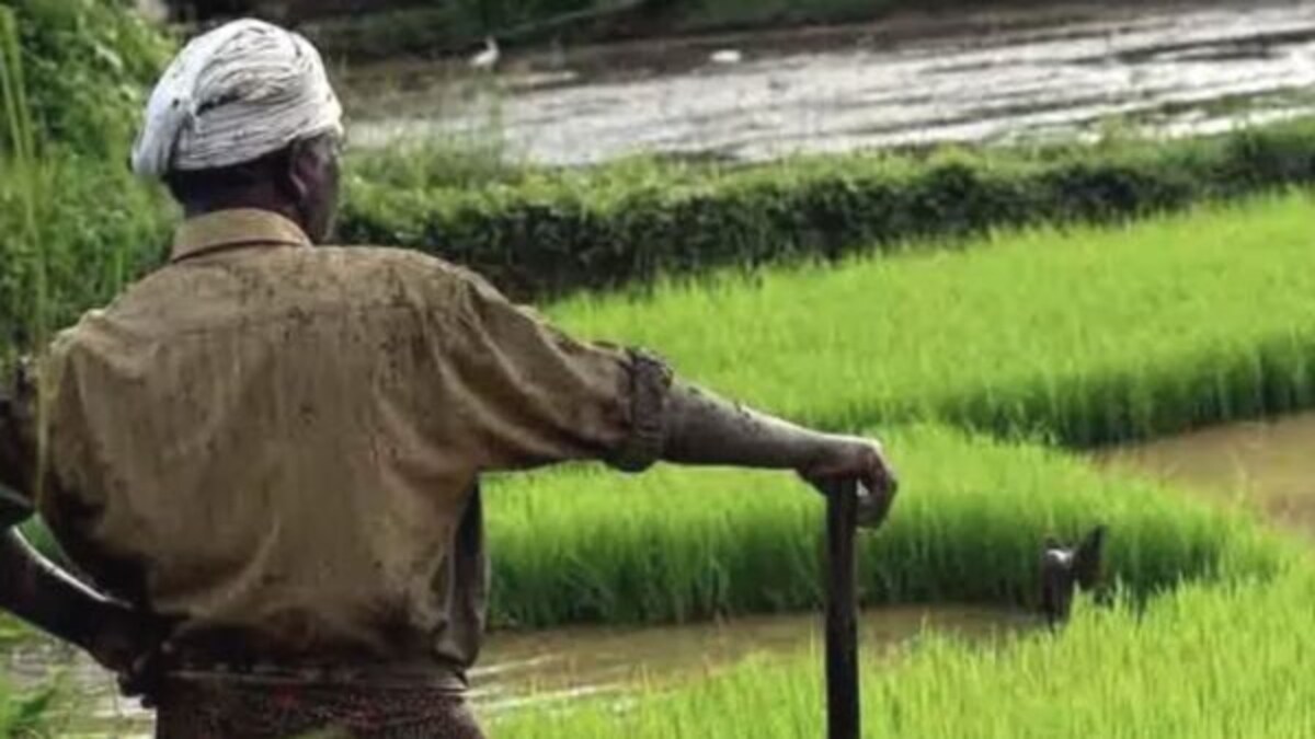 Monsoon Update : यंदाचा पाऊस शेतकऱ्यांना रडवणार? स्कायमेटच्या अंदाजाने चिंतेचं वातावरण According to, a private weather forecasting agency, Skymet, India is likely to receive below average rainfall this year