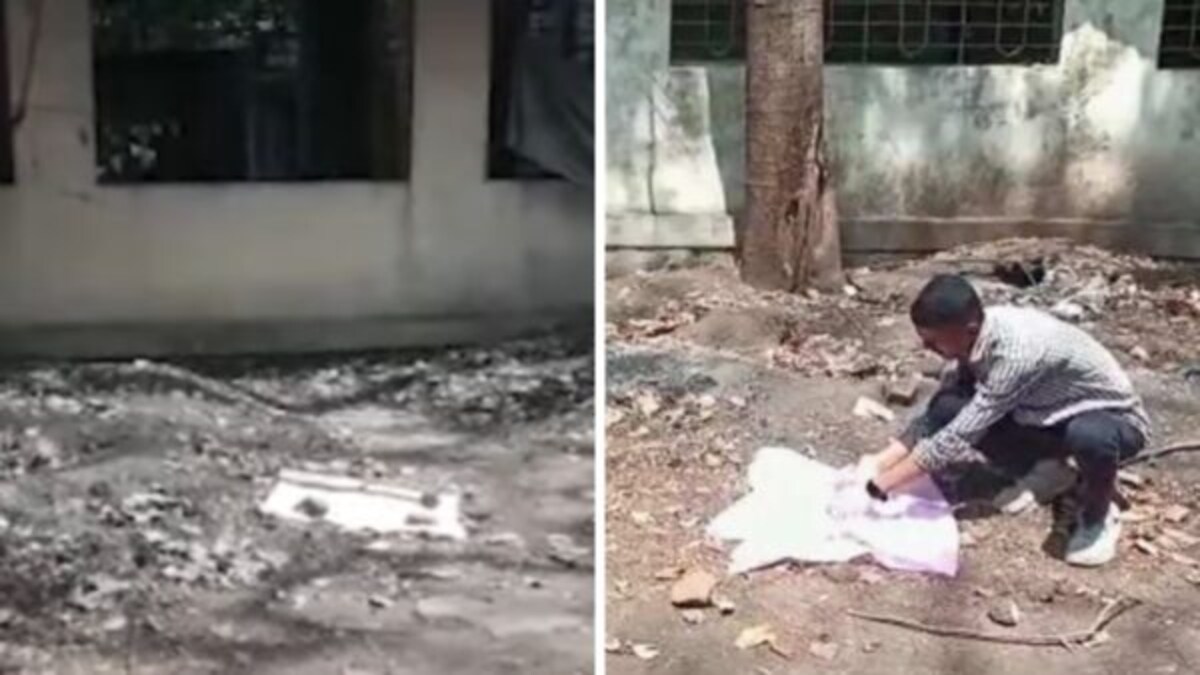 हृदयद्रावक : कोल्हापूरच्या शासकीय रुग्णालयात सापडली भटक्या कुत्र्यांनी लचके तोडलेली अर्भकं 2 infants mauled by dogs were found in Chhatrapati Pramilaraje Government Hospital kolhapur