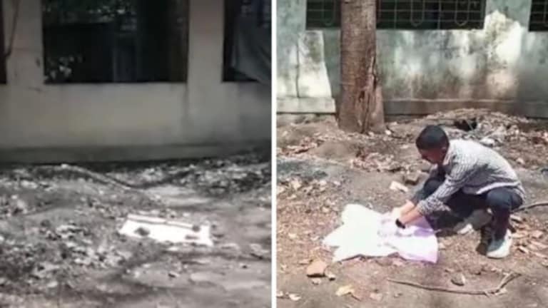 हृदयद्रावक : कोल्हापूरच्या शासकीय रुग्णालयात सापडली भटक्या कुत्र्यांनी लचके तोडलेली अर्भकं 2 infants mauled by dogs were found in Chhatrapati Pramilaraje Government Hospital kolhapur