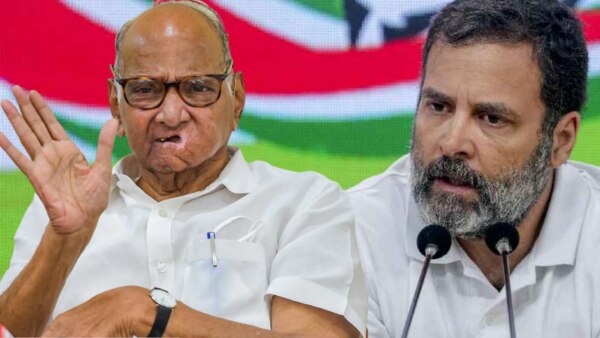शरद पवारांची अदाणींसाठी बॅटिंग, राहुल गांधींचंही प्रत्युतर… पण वेगळ्याच स्टाइलमध्ये! rahul gandhi again attack on adani