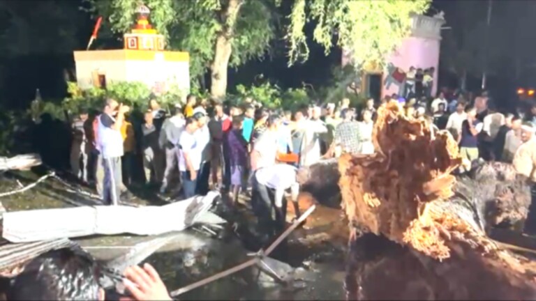 Maharashtra : देवाच्या दारात काळाची झडप! अकोल्यात सात भाविकांचा जागेवरच मृत्यू 7 devotees died after a tree fell on the shed next to the temple in in Balapur taluka of Akola district