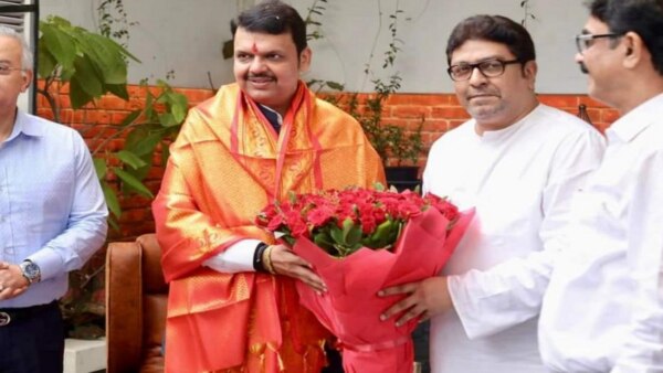Maharashtra Political News in marathi : meaning of devendra fadnavis and mns chief raj thackeray meet