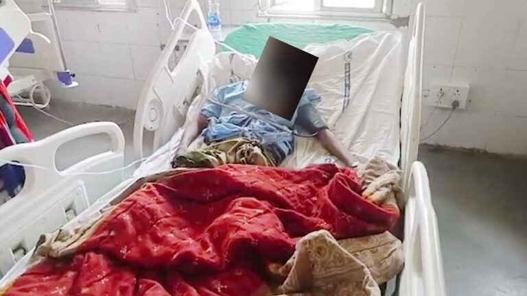 भिंतीवर डोकं आपटलं, तुटलेल्या बांगड्या तोंडात भरल्या, सासरच्यांकडून सुनेचा छळ broke the bangles and put them in the women mouth hit his head on wall daughter-in-law harassment in buldhana