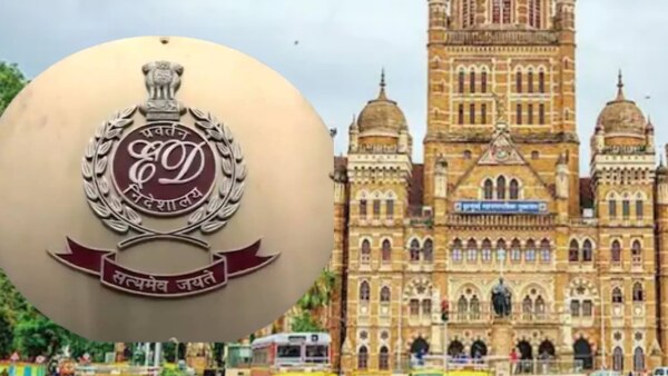 2000 ची बॉडी बॅग 6800 ला! BMC कोविड सेंटर घोटाळा, ईडीच्या हाती स्फोटक माहिती BMC Covid Centre Scam : ED's investigation has revealed that the medicines purchased by BMC for Kovid were 25 to 30 percent cheaper in the market.