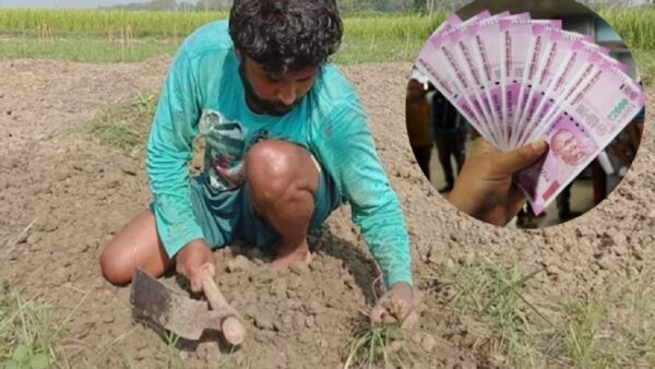 Viral News: खोदायला गेला अन् शेतकरी कोट्यधीश झाला, शेतात काय सापडलं? buried treasure found gold and silver coins under farm man
