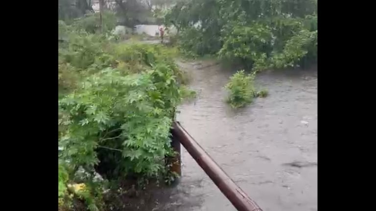 ‘ते’ बाळ खरंच NDRF ला सापडलं?, रेल्वे ट्रॅकवरुन नाल्यात पडलेली चिमुकली बचावली? A six-month-old baby fell from the railway track directly into the drain between Kalyan-Thakurli. But messages started going viral that this baby survived safely. Know about it in detail.