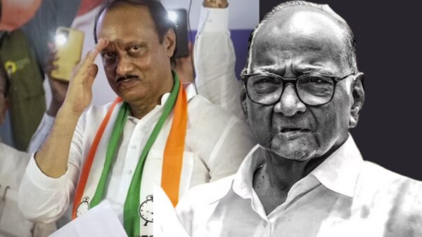 The legal struggle of the NCP party in the legislature and the Election Commission has now begun.