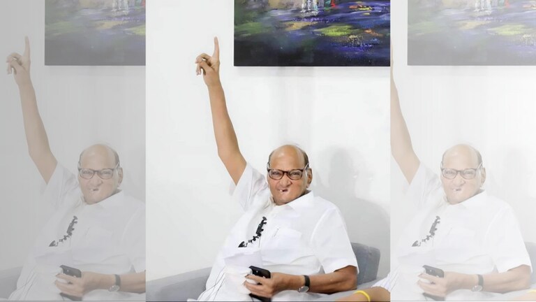 शरद पवारांची साथ सोडलेल्या ‘या’ मातब्बर नेत्यांचं काय झालं?, ‘या’ दिग्गजांनी गमावलीय आमदारकी ncp sharad pawar in 2019 many mla could not retain their MLA post