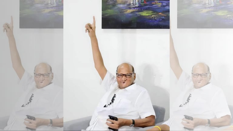 शरद पवारांची साथ सोडलेल्या ‘या’ मातब्बर नेत्यांचं काय झालं?, ‘या’ दिग्गजांनी गमावलीय आमदारकी ncp sharad pawar in 2019 many mla could not retain their MLA post