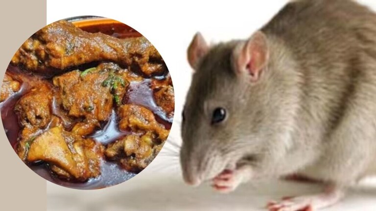 Mumbai:चिकन थाळीत शिजलेला उंदीर,वांद्रेच्या ढाब्यातील धक्कादायक प्रकार rat meat found in chicken curry customer case file against dhaba manager and chefe mumbai shocking story