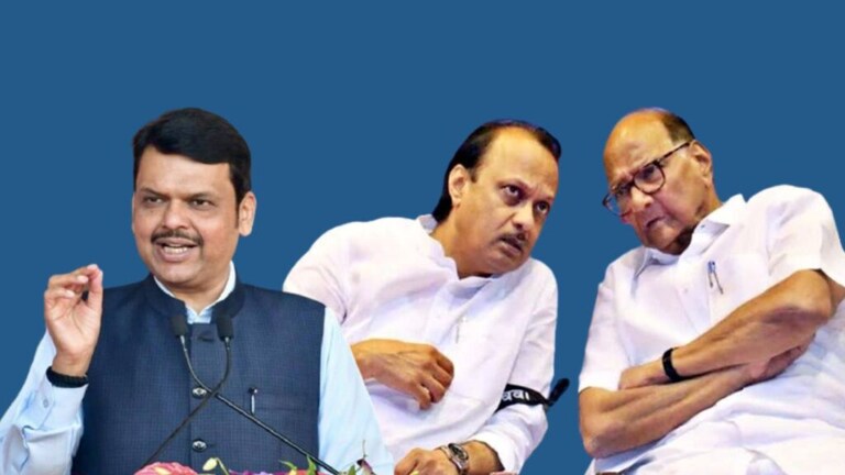 शरद पवार-अजित पवारांच्या गुप्त बैठकीवर देवेंद्र फडणवीस म्हणाले,’भेट झाली…’ sharad pawar ajit pawar secret meeting pune devendra fadnavis reaction