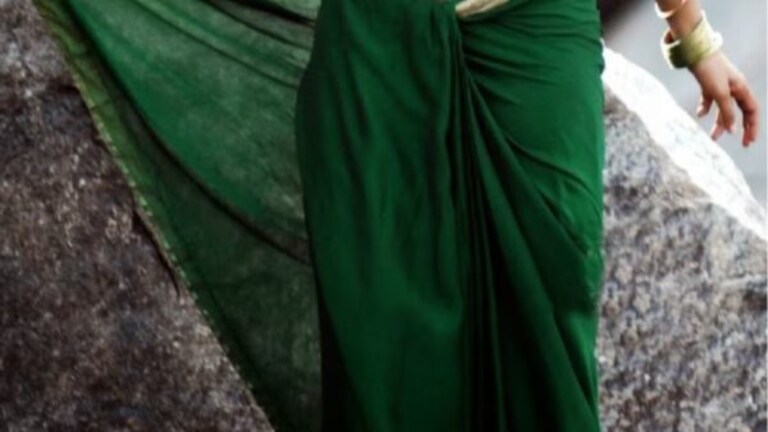 Crime News : बायकोची साडी चोरली, त्याने शेजाऱ्याला गोळ्याच घातल्या saree stolen security guard killed his neighbour gurugram haryana crime story