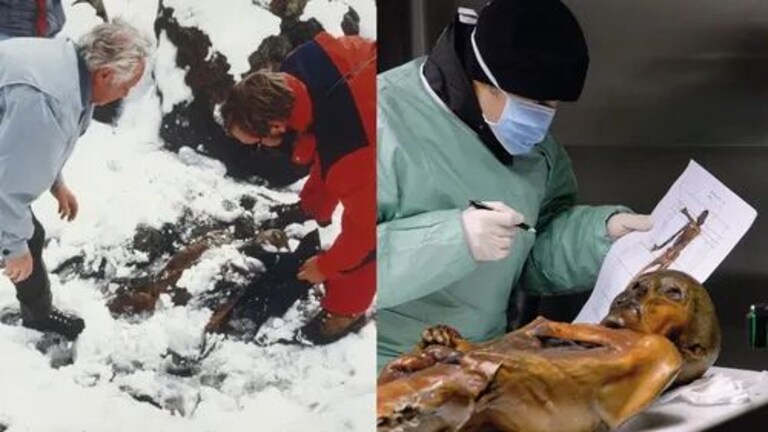 Otzi the Iceman : 5000 वर्ष जुन्या ममीचा इतिहास, एक्स-रे मधून समजलं तरी काय? Mumbai Tak
