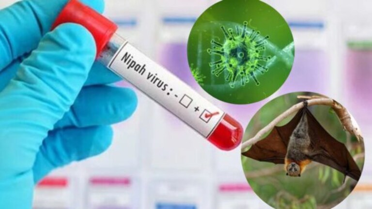 Nipah virus : ‘निपाह’ने घेतला दोघांचा जीव, संसर्ग होऊ नये म्हणून काळजी कशी घ्यायची? Mumbai Tak