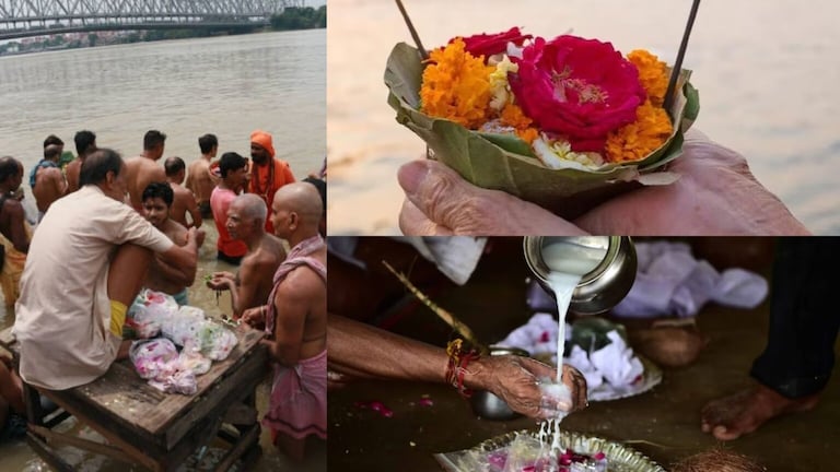 Pitru Paksha 2023 : पितृपक्षात कावळ्यांना नेवैद्य का दिला जातो? तुम्हाला यामागची माहितीये का? Mumbai Tak