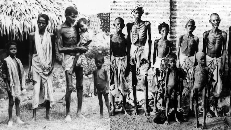 Green Revolution in India: डुकरांना दिला जाणारा गहू भारतात आला अन् ‘हरित क्रांती’ची पडली ठिणगी! History of Green Revolution in India Important role of MS Swaminathan