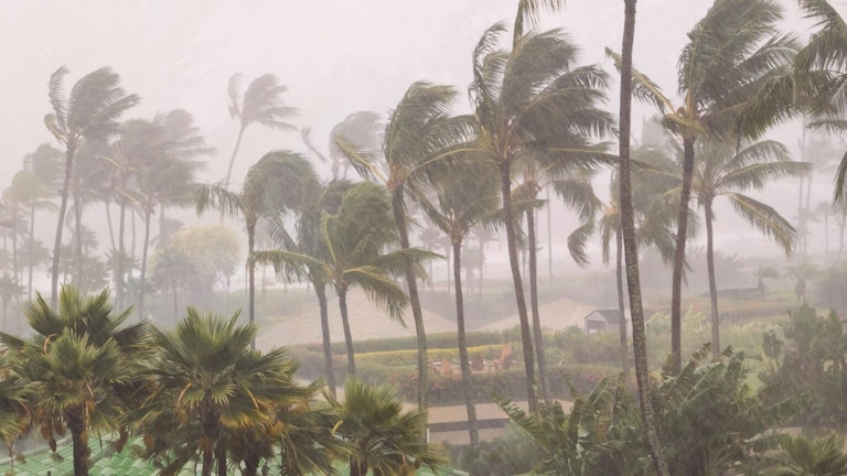 Cyclone: 2 चक्रीवादळांचं संकट घोंगावतंय, मुंबईसह महाराष्ट्राला किती धोका? crisis of 2 cyclones is looming how much danger to mumbai and maharashtra weather update