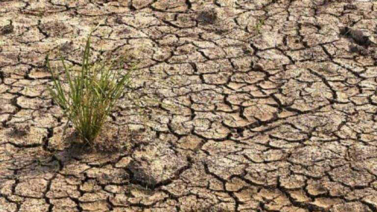 Maharashtra: राज्यात ‘या’ तालुक्यांमध्ये दुष्काळ घोषित, पाहा तुमचा तालुका आहे का! maharashtra government drought declared in 24 talukas of 15 districts of the state, concessions will be given to 40 talukas