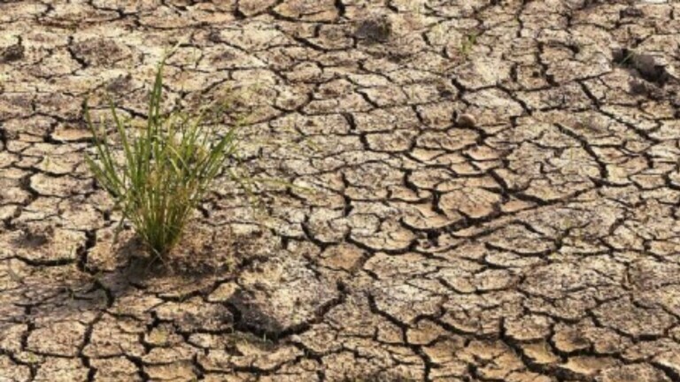 Maharashtra: राज्यात ‘या’ तालुक्यांमध्ये दुष्काळ घोषित, पाहा तुमचा तालुका आहे का! maharashtra government drought declared in 24 talukas of 15 districts of the state, concessions will be given to 40 talukas