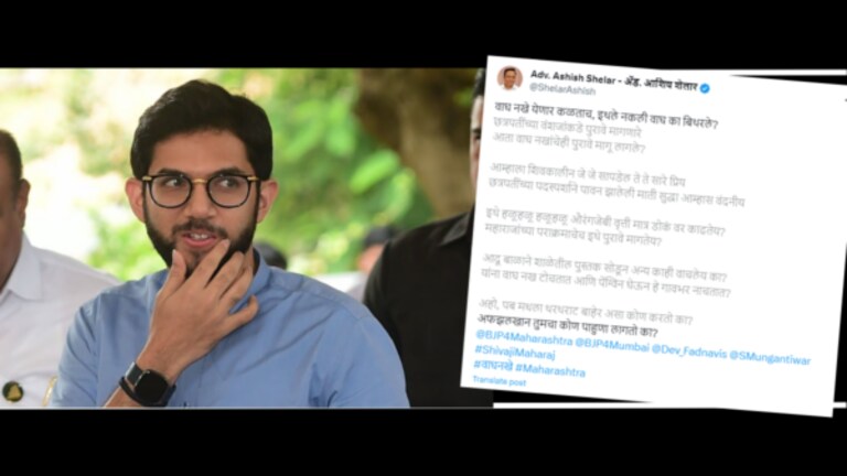 आशिष शेलार पुन्हा म्हणाले, ‘आदू बाळ; कवितेतून आदित्य ठाकरेंच्या वर्मावर ‘बाण’ shivaji maharaj wagh nakh controversy : Ashish shelar called aaditya thackeray child