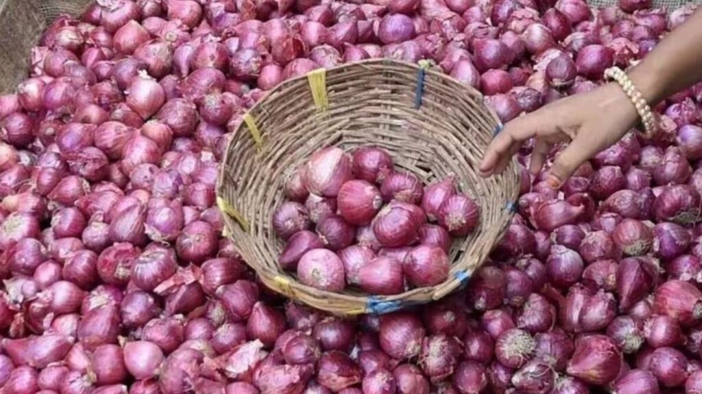 Onion