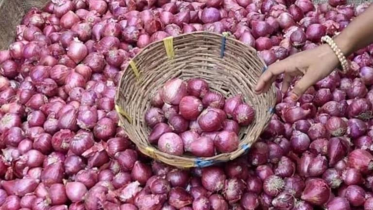 कांदा संकटाला ब्रेक, आजपासून लिलाव होणार सुरू, सरकार म्हणाले… Onion