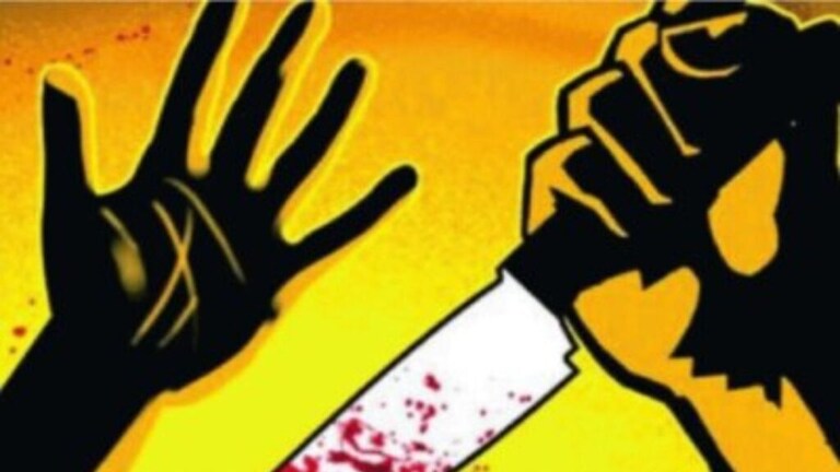 वाढदिवसाच्या दुसऱ्याच दिवशी बारावीतील मुलीने जीव गमावला, चिरला कोयत्याने गळा Palghar mokhada girl was killed slitting her throat one-sided love