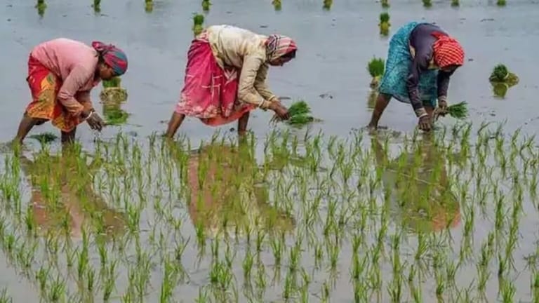 PM मोदींकडून महाराष्ट्रासाठी मोठी भेट, शेतकऱ्यांच्या खात्यावर पैसे होणार जमा prime minister narendra modi announced namo shetkari samman nidhi yojana launched by government of maharashtra