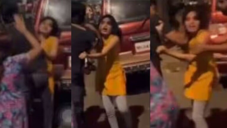 Mumbai : भटक्या कुत्र्यांना खायला घालणं तरूणीला पडलं महागात; झाली बेदम मारहाण! Young Man Brutally Beat up Girl who was Feeding Stray Dogs in Mumbai
