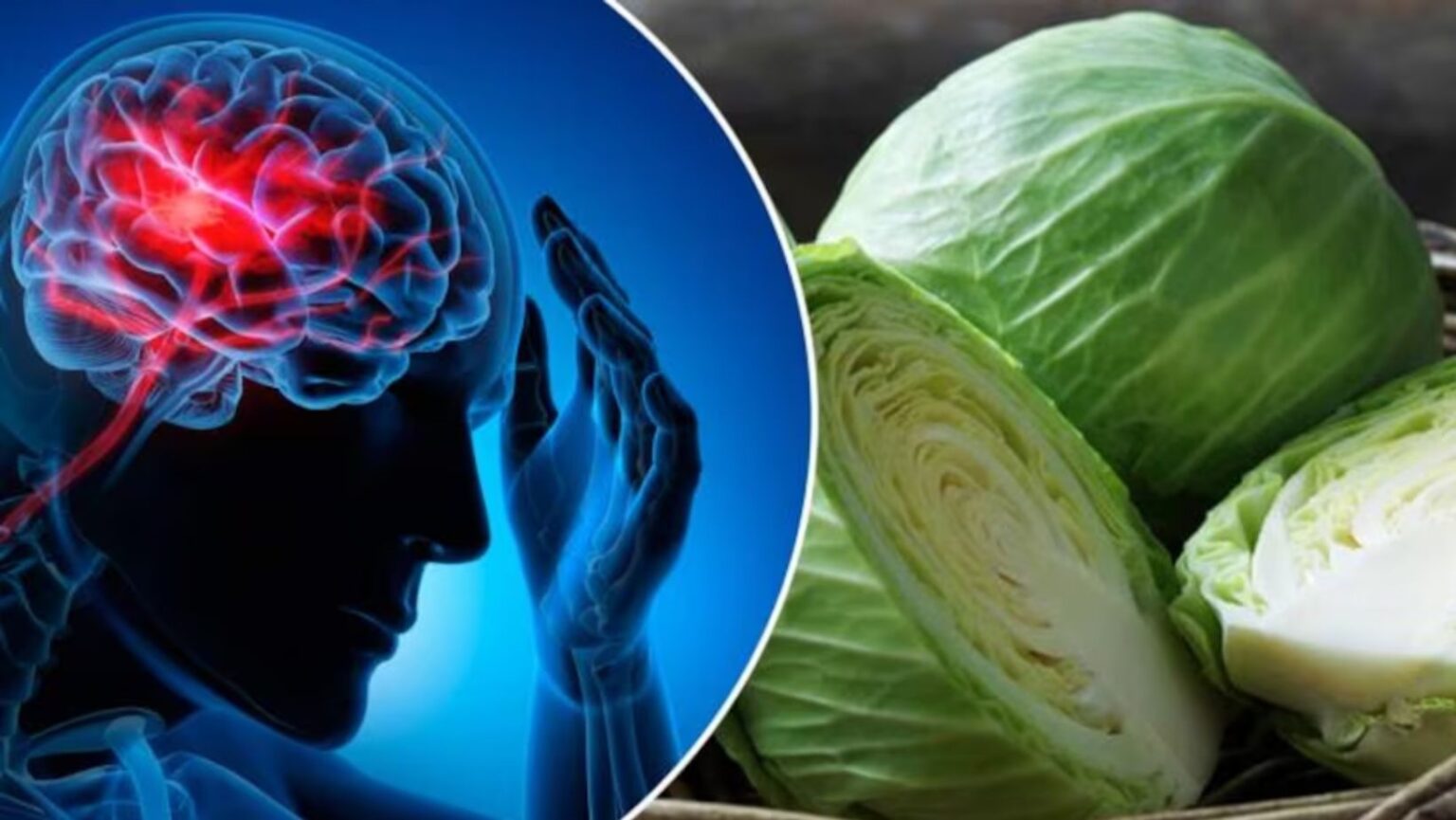 cabbage worms from unclean cabbage travel through the bloodstream to the brain expert doctors have revealed the real truth