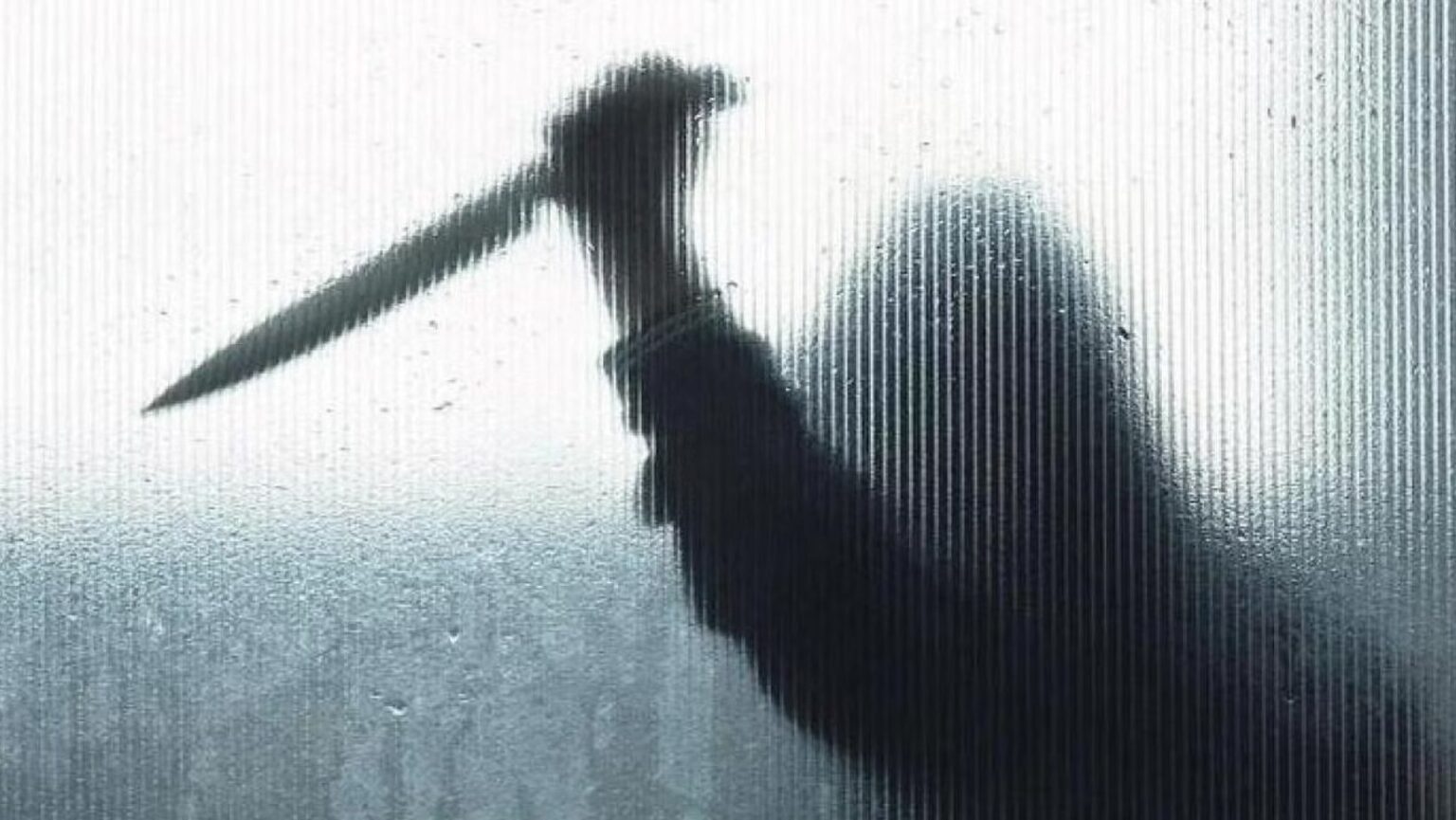 police officer son killed his mother in Dehradun capital of Uttarakhand