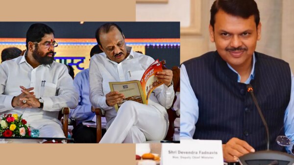 What is Mahayuti (bjp, Shinde Shiv Sena and NCP Ajit Pawar) seat sharing formula for lok sabha election?