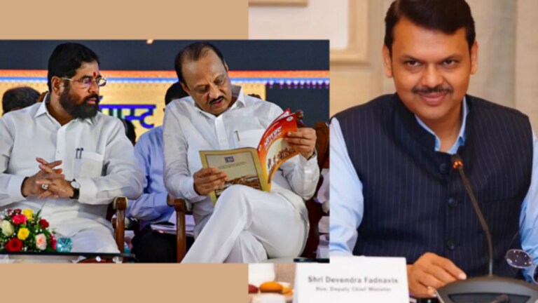 Lok Sabha : महायुतीचा फॉर्म्युला ठरला! फडणवीसांनी सांगितलं शिंदे-पवारांना किती जागा? What is Mahayuti (bjp, Shinde Shiv Sena and NCP Ajit Pawar) seat sharing formula for lok sabha election?