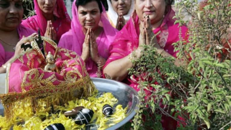 Tulsi Vivah 2023 Date : 23 की 24 नोव्हेंबर… तुळशी विवाह नेमका कोणत्या दिवशी? 23rd or 24th November, when is Tulsi Vivah? clear up date confusion