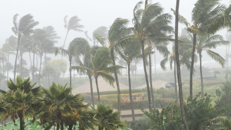 Cyclone Michaung Updates : मिचॉन्ग चक्रीवादळ किनारपट्टीवर, महाराष्ट्राला किती धोका? Cyclone Michaung on the Indian coast how much of a threat to Maharashtra