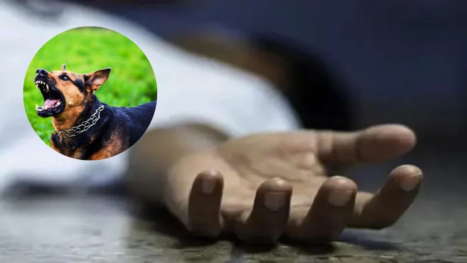 Nephew slits aunt's throat from affair, incident in Madhya Pradesh