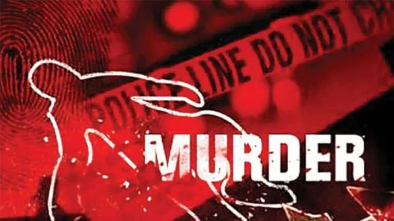 कुऱ्हाडीने वार करून बापाला संपवलं, पोटचा मुलगाच का उठला जीवावर? Son kills father due to stress of divorce incident in Punjab