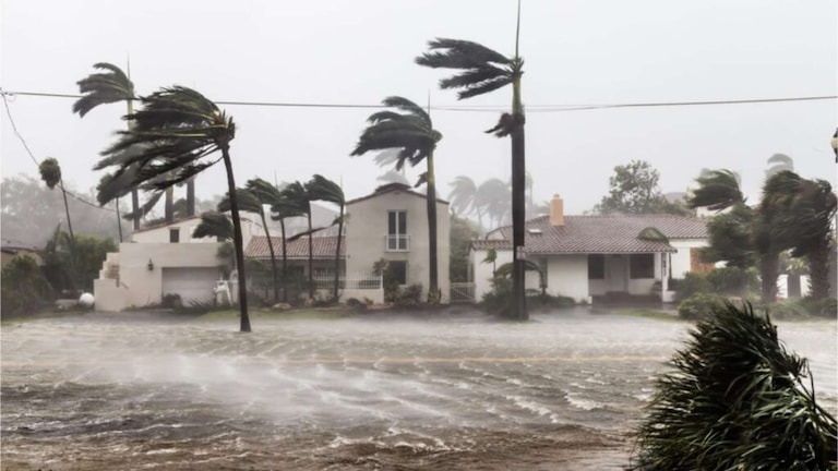 Cyclone: मिचॉन्ग चक्रीवादळाचा हैदोस; 5 जणांचा मृत्यू! महाराष्ट्रावरही सावट? Michaung Cyclone terrible impact in Southern States of india 5 people dead in chennai What will be the effect on Maharashtra