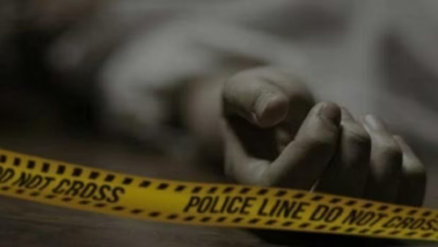 Palghar district grandmother was killed by her grandson attacked on the head with wooden stick