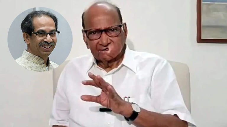 ‘त्या’ निकालानंतर शरद पवारांचं मोठं विधान, ‘उद्धव ठाकरेंची केस…’ Uddhav Thackeray case of MLA disqualification is strong, Sharad Pawar advised to go to Supreme Court
