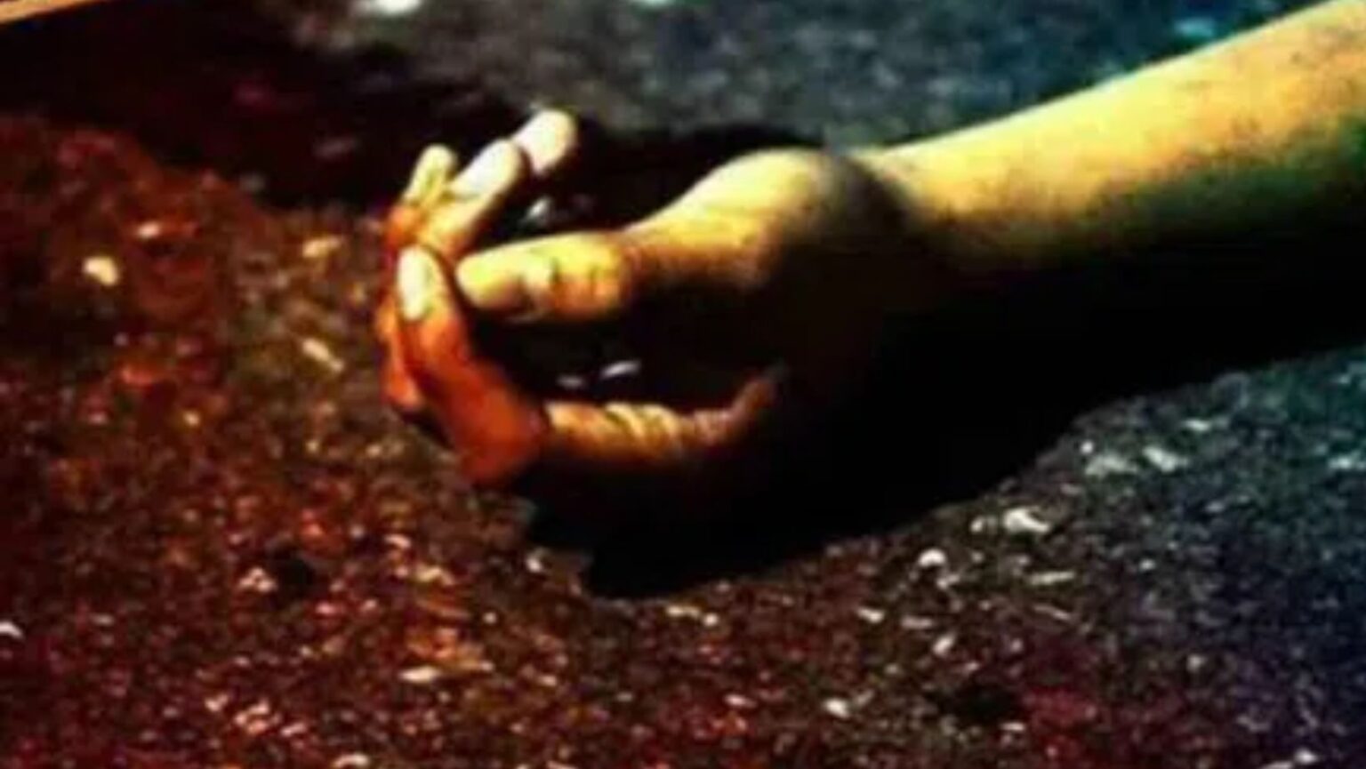 family dispute the elder brother killed the younger brother by breaking his head with an iron rod