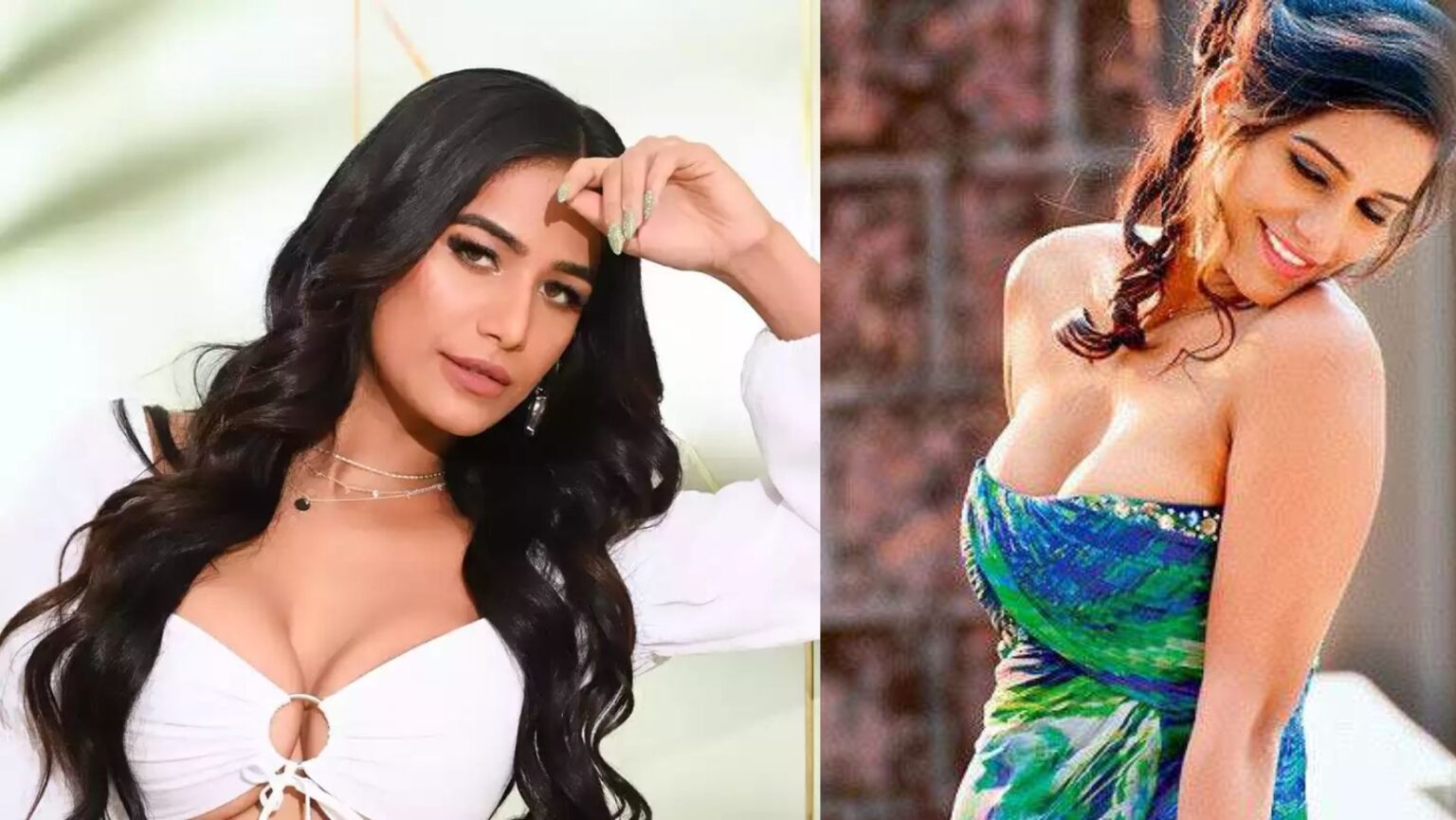 Poonam Pandey cervical cancer is caused by what exactly What are the symptoms terrible disease